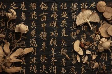 为什么我不愿意推荐市面上的AI中医产品?