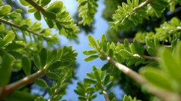 春食野菜胜补药