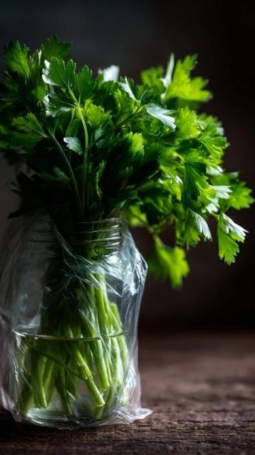 春食野菜胜补药