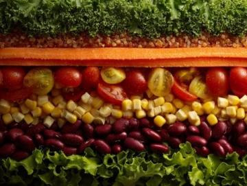 揭秘素食养生：健康、美味与可持续性的生活之道