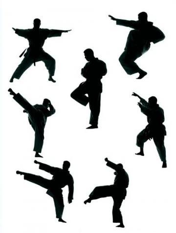 少林八段锦与两仪拳：秋季养生武术功法示范