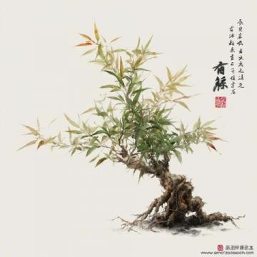 广东贤妻:传承粤式养生秘籍,居家烹饪中的诗篇