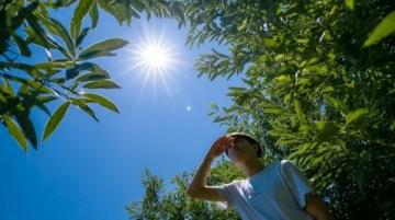 中医话养生之夏至节气养生(中医专家讲节气养生夏至)
