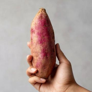 山药养生宝典: 探索双方益处的美味疗法