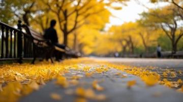秋季养生误区：自认为的好习惯或潜藏健康风险