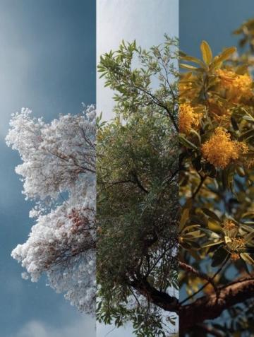 四季养生指南:顺应自然变化,调理身心,远离疾病