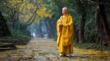 顺天应时:人与自然的健康智慧