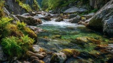 生活之道:回归自然韵律、时节感与细水长流