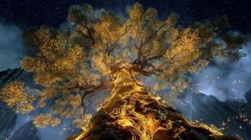 生命之树新芽——肾友互助小组里的故事与感悟