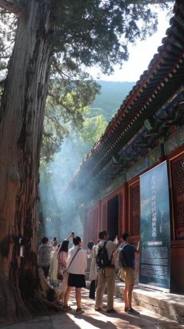 探秘邢台鹊王庙：穿越千年的中医药传奇之地