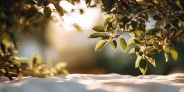 顺应季节变化：春捂秋冻养生谚语背后的科学依据与注意事项