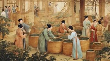 清明时节中的养生因素