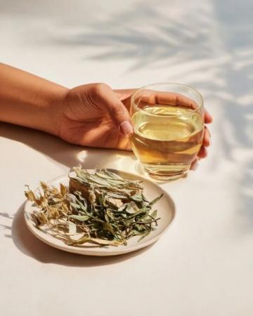 简单养生三步走,每天一杯茶、十分钟拉伸和一把坚果助你焕发青春活力