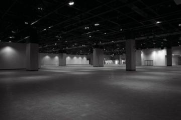 五脏养生秘籍：简单有效的方法等你来试试！