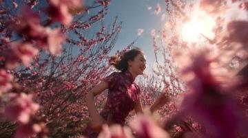 春来遍是桃花水什么意思(春来遍是桃花水,春分养生调阴阳)