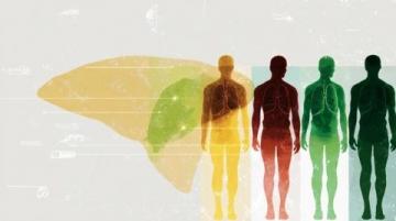 现代养生热:多重因素下的健康追求与生活方式转变