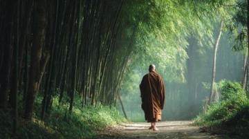 探寻古代修炼功法中的现代养生智慧