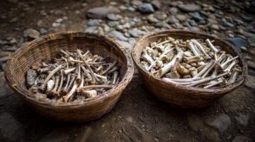 中医治疗胃息肉有妙招,一良方流传百年,快为家中的他收藏!