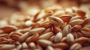 粗粮营养指南：精解科学益处+健康食用法，助你吃对才养生！