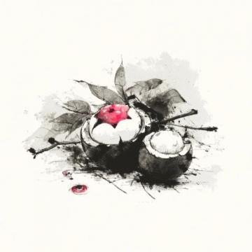 快乐是最好的养生,你认可吗邻家阿婆已过九十高龄,却依旧面色如秋柿般红润