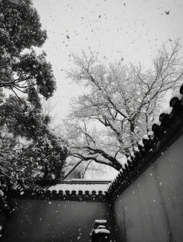 冬季养生保暖防寒，滋养身心，静待春来