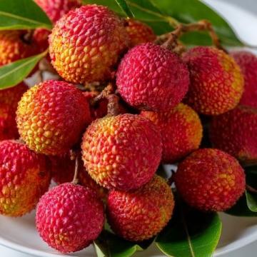 夏日养生佳品:荔枝的多重健康益处