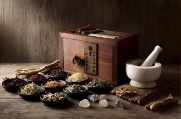 四季五味调阴阳解码中式养生食疗的千年智慧