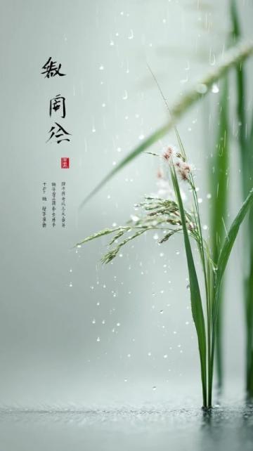 初夏养生指南:护阳气健脾胃祛湿邪