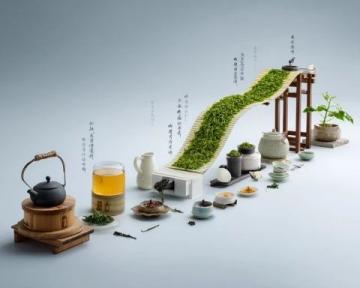 传统中医为何渐行渐远:时代变迁下的传承困境与发展机遇