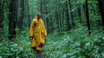 顺应自然不过度劳累,黄帝内经的顶级养生智慧