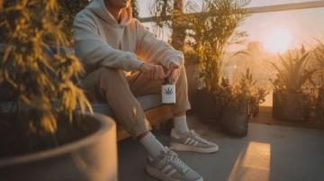 如何选择适合自己的养生壶:实用指南