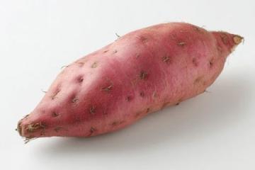 今日推荐：五款美味红薯养生食谱