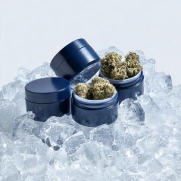 如何选择适合自己的养生壶:实用指南