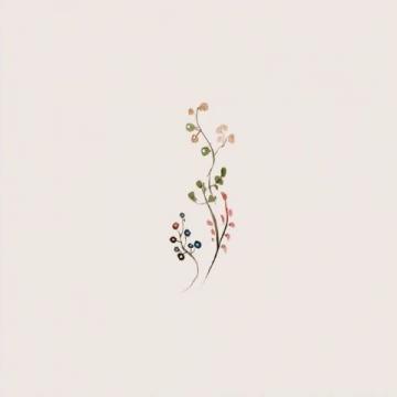 黄帝内经:顺应四时,调和阴阳,身心平衡的养生之道