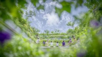贵阳南明区举办自然采摘中草药活动弘扬中医药文化
