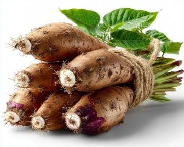 养生必备！10种药食同源的植物，健康从饮食开始！
