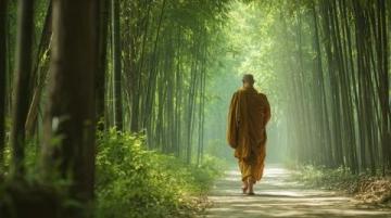 探寻古代修炼功法中的现代养生智慧