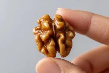 自制减脂小零食(轻松瘦身 白领必备)