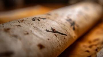 解析中医七情：成因、影响及防护之道