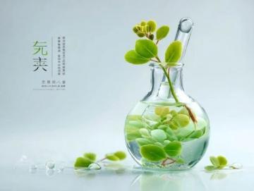 中医四季养生指南:顺应自然调养身心