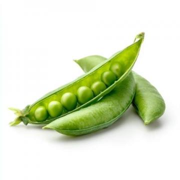绿豆:千年药食谱中的五脏六腑清道夫