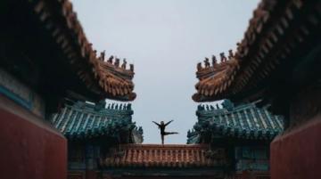 太极拳的养生与实战价值探讨