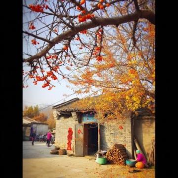 粤地秋冬季养生之道