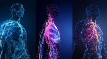 人最顶级的养生是什么