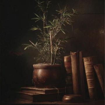 古诗词里的养生智慧(运动与休息的平衡)