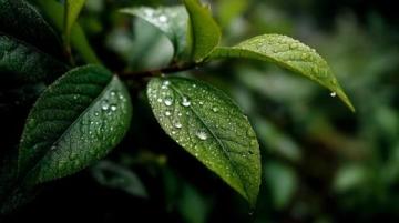 雨后初晴的运动日记:农历五月二十,公历6月15日