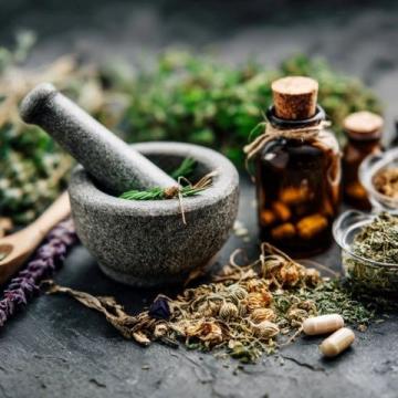 养生必备！10种药食同源的植物，健康从饮食开始！