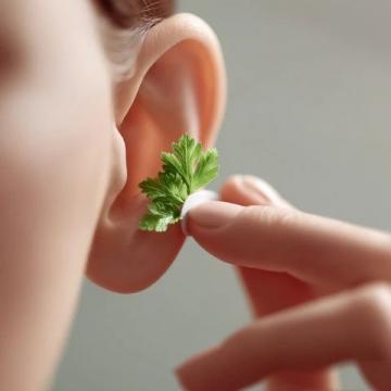春季养生试试搓耳操(春季养生运动操)