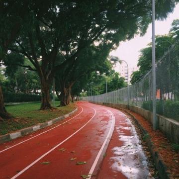 雨后初晴的运动日记:农历五月二十,公历6月15日