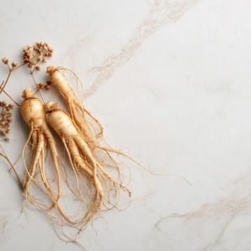 西洋参适合老年人食用吗？如何正确服用及功效详解
